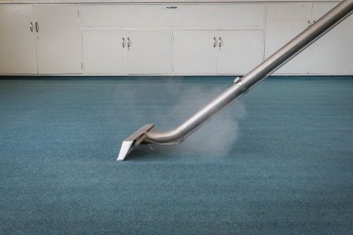 Carpet,steam,cleaning, ,professional,carpet,cleaning,with,wand